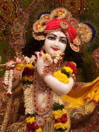 Aap Kya Jano E Shyam Sunder Kaise Tum Bin Jiye Jaa Rahe Hain Krishna Bhajanyrics Vinod Agarwal