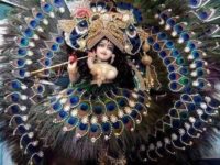 Vrindavan Ka Mor Banu Aur Gau Main To Radhe Radhe Krishna Song Lyrics Aarti Sharma