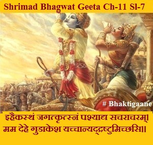 Shrimad Bhagwad Geeta Chapter-11 Sloka-7 Ihaikasthan Jagatkrtsnan Pashyaady Sacharaacharam.