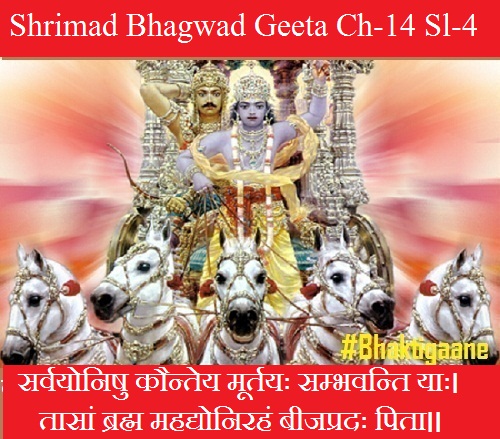 Shrimad Bhagwad Geeta Chapter-14 Sloka-4 Sarvayonishu Kauntey Moortayah Sambhavanti Yaah