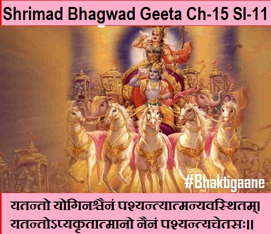 Shrimad Bhagwad Geta Chapter-15 Sloka-11 Yatanto Yoginashchainan Pashyantyaatmanyavasthitam.