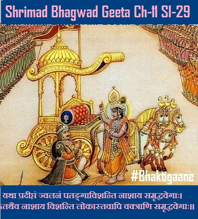 Shriamd Bhagwad Geeta Chapter-11 Sloka -29 Yatha Pradeeptan Jvalanan Patangvishanti Naashaay Samrddhavegaah