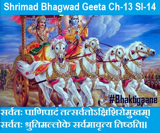 Shrimad Bhagwad Geeta Chapter-13 Sloka-14 Sarvatah Paanipaadan Tatsarvatokshishiromukham.
