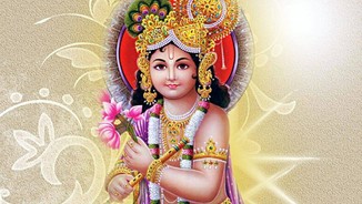Mera Aapki Daya Kripa Se Sab Kaam Ho Raha Hai Krishna Bhajan Vinod Agrava