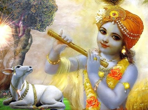 Janam Dene Wale Itna To Bol Re Beautiful Krishna Bhajan Full Lyrics By Anup Jalota