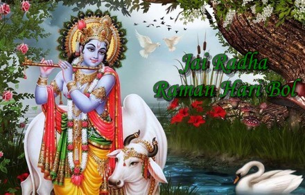 Jai Radha Raman Hari Bol Soulful Krishna Bhajan Full Lyrics By Anup Jalota