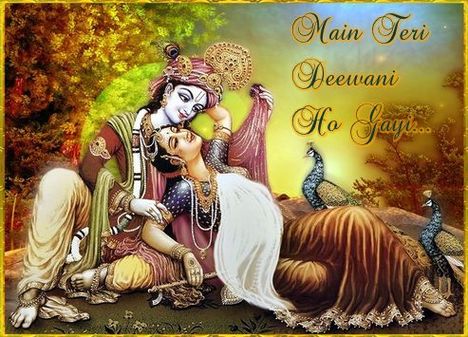 Main Teri Deewani Ho Gayi Super Hit Krishna Bhajan Full Lyrics
