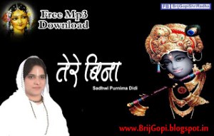 Tere Bina Ghanshayam Mera Dil Heart Touching Krishna Bhajan Full Lyrics By Sadhvi Purnima Ji