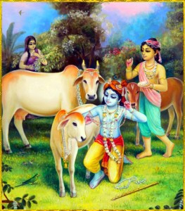 Gokul Me Dekho Vrindavan Me Dekho Beautiful Krishna Bhajan Full Lyrics By Prachi Devi ji