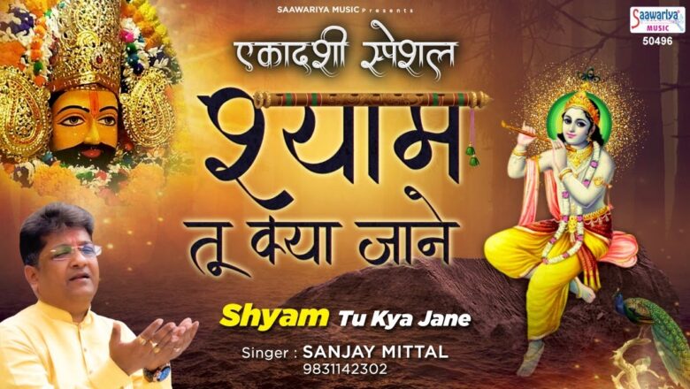 Ekadashi Bhajan | श्याम तू क्या जाने | Shyam Tu Kya Jaane | Shyam Bhajan | श्याम भजन | Sanjay Mittal