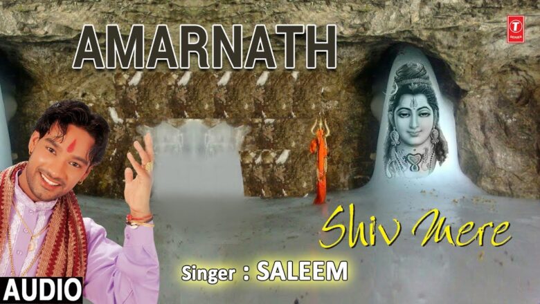Shiv Bhajan Amarnath I Shiv Bhajan I SALEEM I Full Audio Song I Shiv Mere I Amarnath Yatra Special