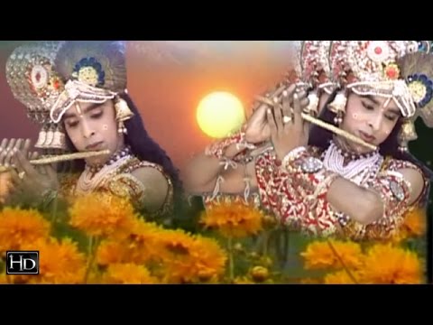 Krishna Bhajan – Shyam Bajay Raho Basuria | Tere Bhoresea Meri Gadi | Ramdhan Gujjar, Neelam Yadav