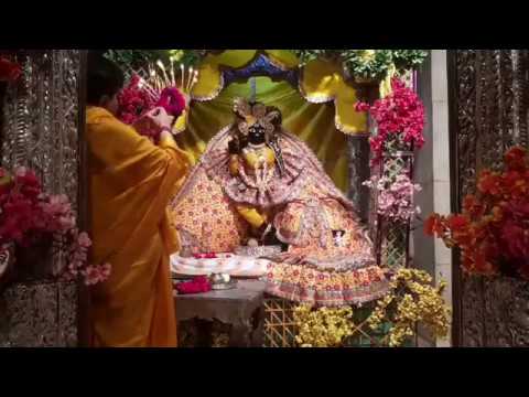 Shri radha sneh bihariji shringar aarti and akshaya tritya charan darshan