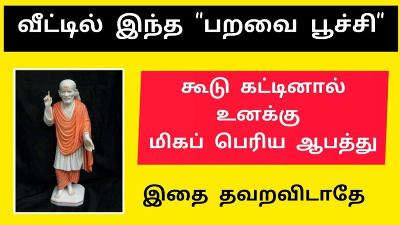 shirdi saibaba advice in Tamil | sai appa words | sai motivational speech | Sai Baba பறவை பூச்சி