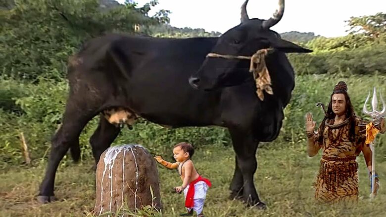 शिव जी भजन लिरिक्स – नन्हे शिव भक्त की गाय ने शिवलिंग पर अर्पित किया दूध @Shiv Mahima -Om Namah Shivay