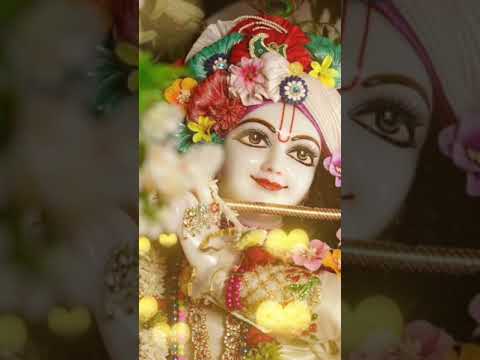 Hey Gopal Krishna Karu Aarti Teri | Best Krishna Bhajan