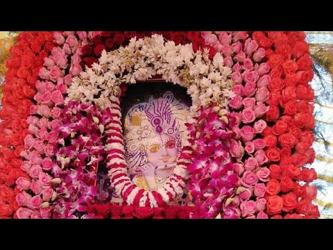 Shyam Aarti। Shyam bhandara।shyam falgun Mela। shyam bhakat navyuvak mandal।तृतीया विशाल भंडारा 2018