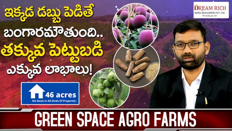 Buy Plots at Affordable Price in Hyderabad | Green Space Agro Farms @Jangaon | 46 Acres | Dream Rich
