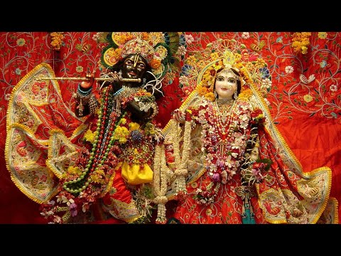 Shri Krishna Aarti || Aarti kunj bihari ki_आरती_ Krishna bhajan/aarti।।आरती कुंज बिहारी की