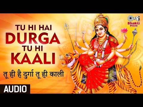 तू ही है दुर्गा तू ही काली दुर्गा भजन Tu Hi Hai Durga Tu Hi Kaali Durga Hindi Bhajan Lyrics